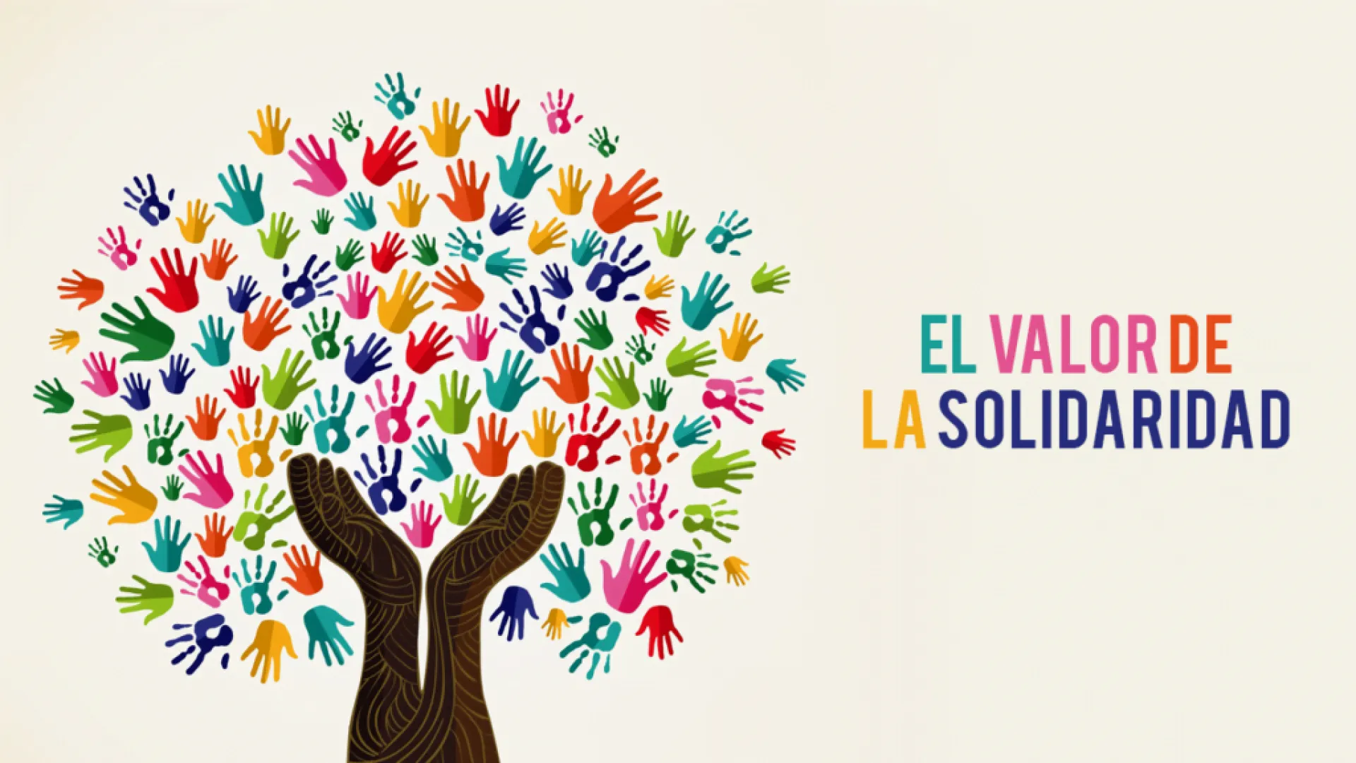 Servicios de Solidaridad